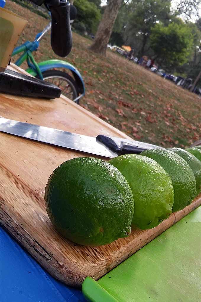 नींबू के साइड इफेक्ट्स: ज्यादा सेवन से पहले जान लें ये महत्वपूर्ण बातें 1 नींबू के साइड इफेक्ट्स, आइए जानते है नींबू के उपयोग के बारे में , कितना फायदेमंद है नींबू का सेवन