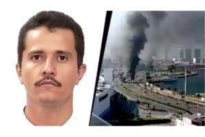 image search 1771908561055